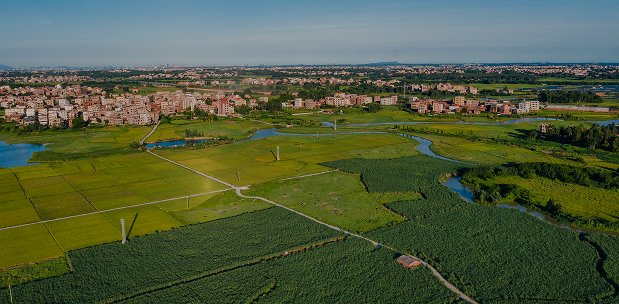 Terreni di varia tipologia
